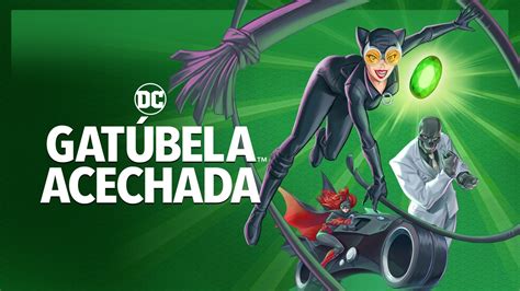 gatúbela animada|Gatúbela: Acechada ya disponible en HBO Max .